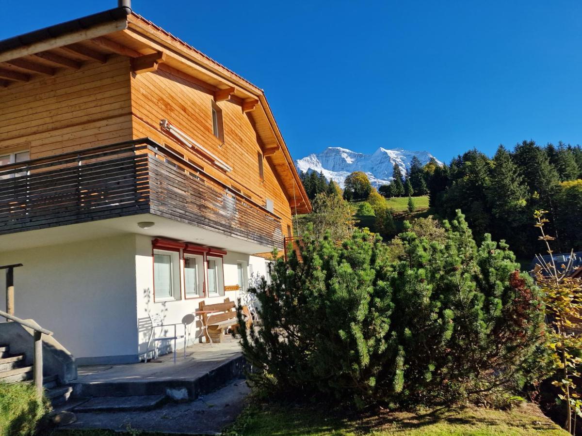 Chalet Viola - Verena's Loft Wengen Extérieur photo